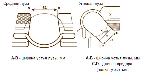 8    .  . : ,  , , -, ,   . 8 (951) 156-13-23