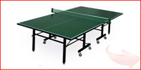Всепогодный стол для настольного тенниса «Professional» (274 х 152,5 х 76 см) купить в Белгороде