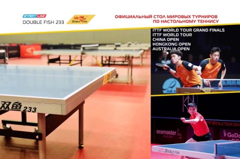 Купить стол теннисный Double Fish 233