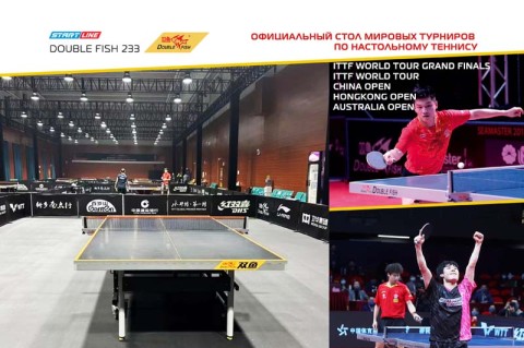 Купить стол теннисный Double Fish 233